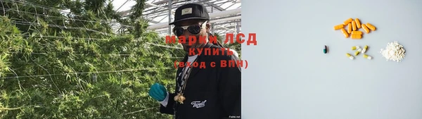 гидра Аркадак