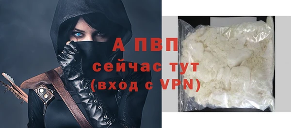 спайс Арсеньев