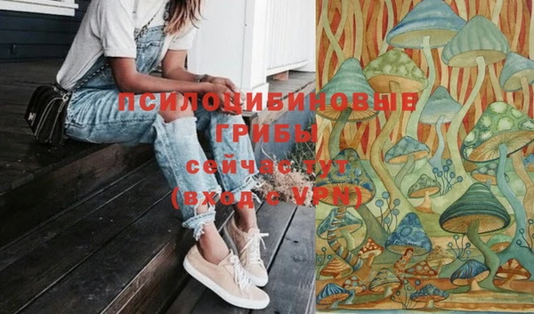 прущий лед Армянск