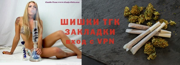 гидра Аркадак