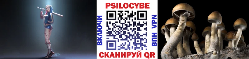 Псилоцибиновые грибы ЛСД Славгород